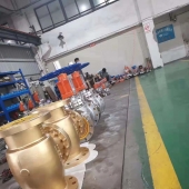 氧氣專(zhuān)用止回閥